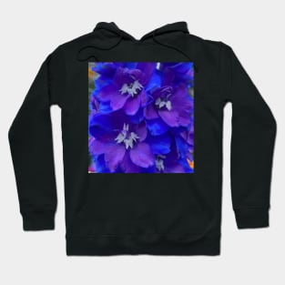 Outrageous Neon Blue Delphinium Hoodie